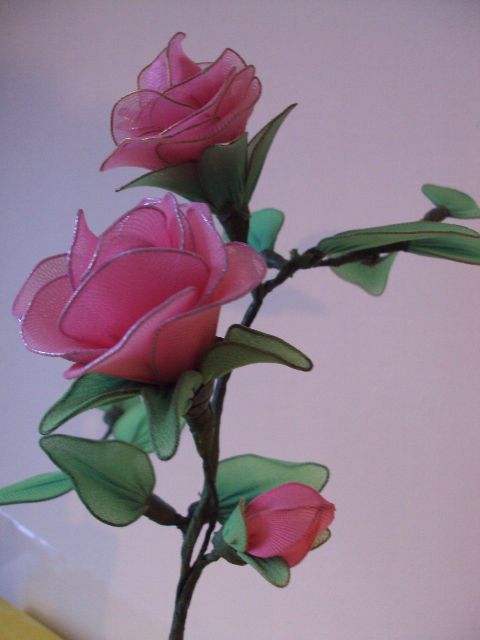 Roza vrtnica2 - foto povečava