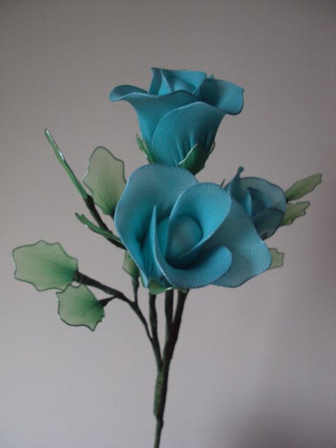 Modre vrtnice - foto povečava