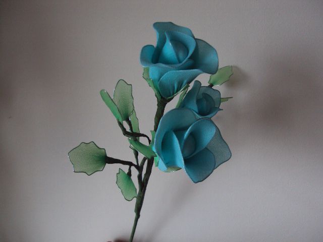 Modre vrtnice - foto