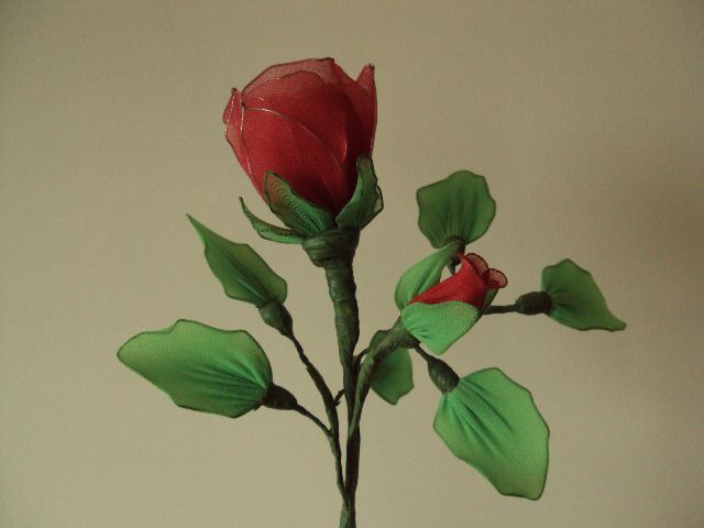 Rdeča vrtnica II - foto
