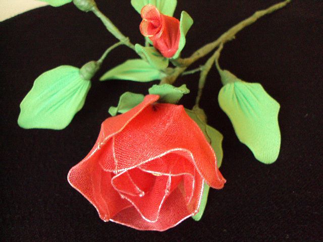 Rdeča vrtnica II - foto povečava