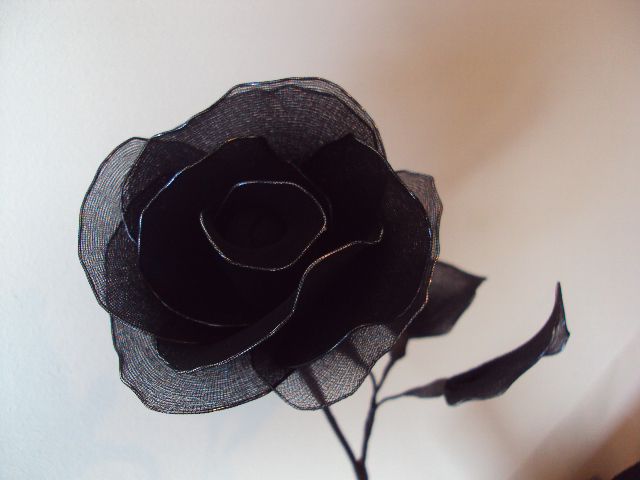 Dark rose - foto povečava
