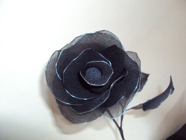 Dark rose - foto