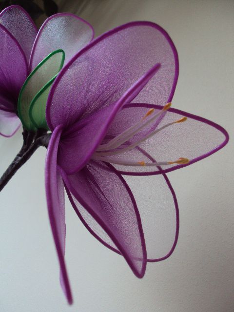 Amarilis lila - foto povečava