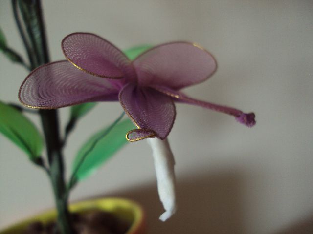 Metuljček lila - foto