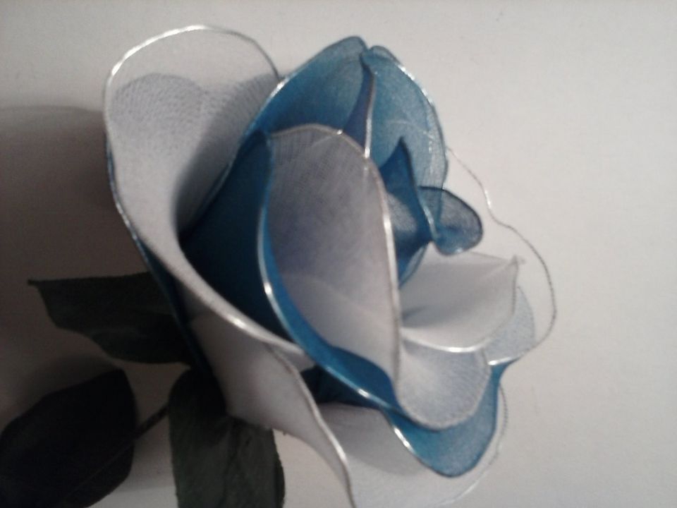 Modro bela velika vrtnica - foto povečava