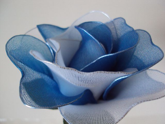 Modro bela velika vrtnica - foto
