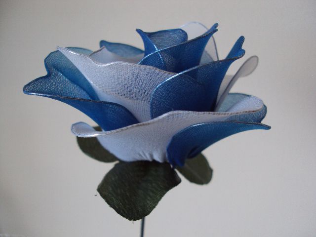 Modro bela velika vrtnica - foto
