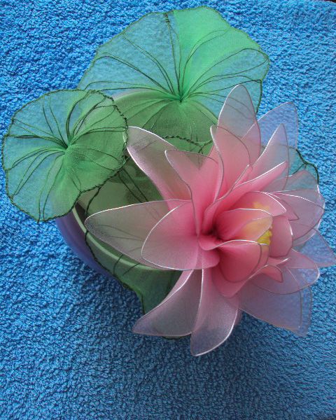 Lotosov cvet - foto povečava
