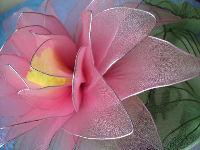 Lotosov cvet - foto povečava