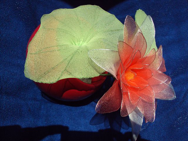Lotosov cvet rdeč - foto povečava