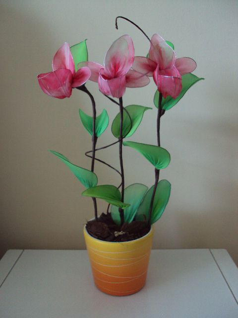 Orhideja čeveljček - foto