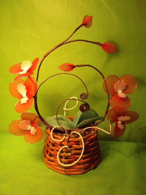Orhideja v košarici - foto