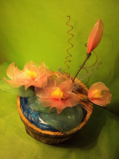 Lotosovi cvetovi  - foto povečava