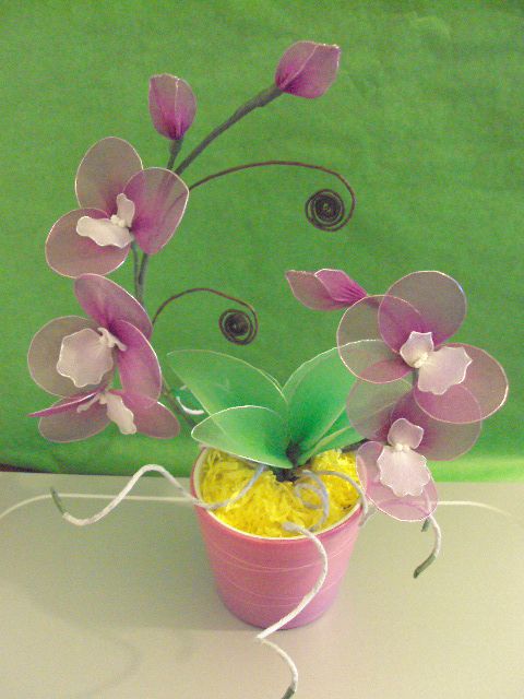Vijolična orhideja2 - foto