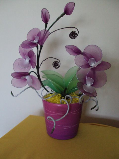 Vijolična orhideja2 - foto povečava
