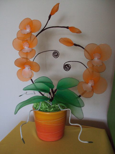 Oranžna orhideja - foto