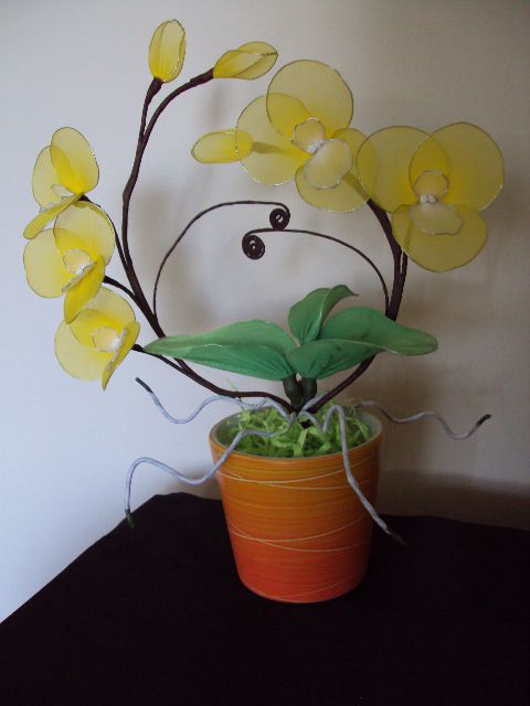  Rumena orhidejaa - foto