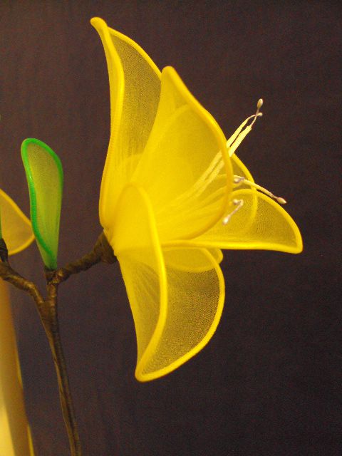Amarilis z metuljčki - foto povečava