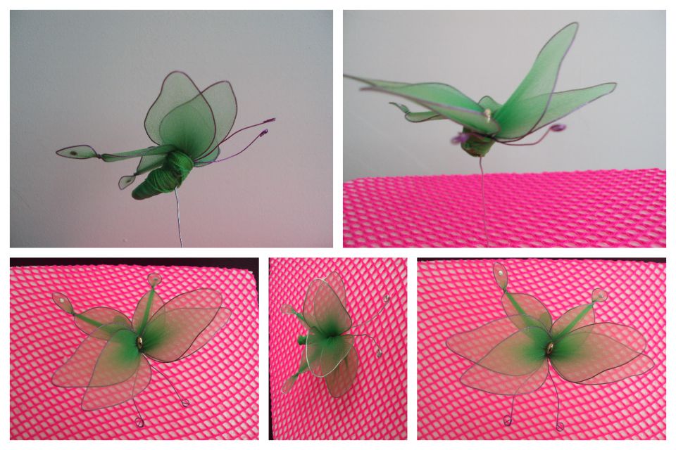 Zeleni metuljček - foto povečava