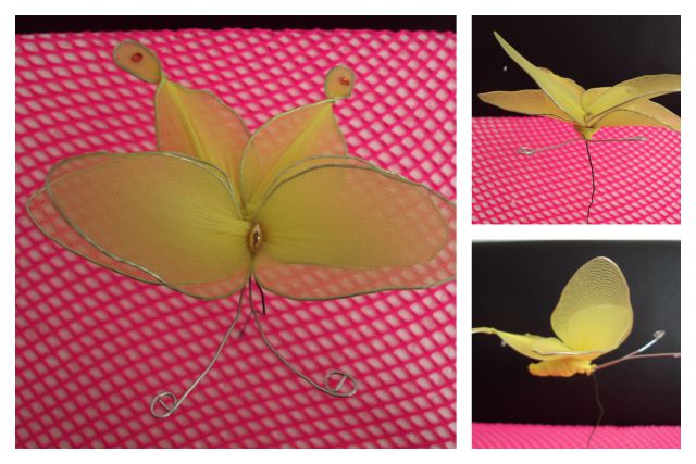 Rumeni metuljček navaden - foto