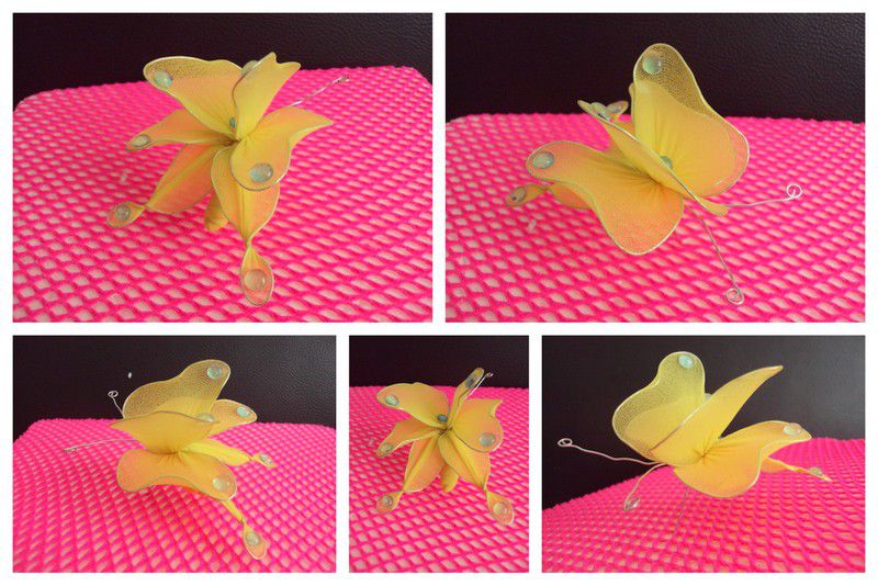 Rumeni metuljček s steklenimi kapljicami - foto povečava