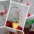 bela orhideja phalaenopsis2