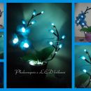 phalaenopsis modra z led lučkami