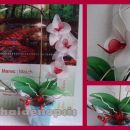 Orhideja phalaenopsis bela