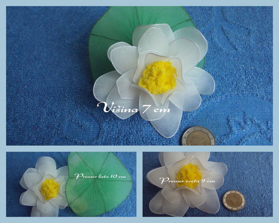 Lotosov cvet - bel2 - foto povečava