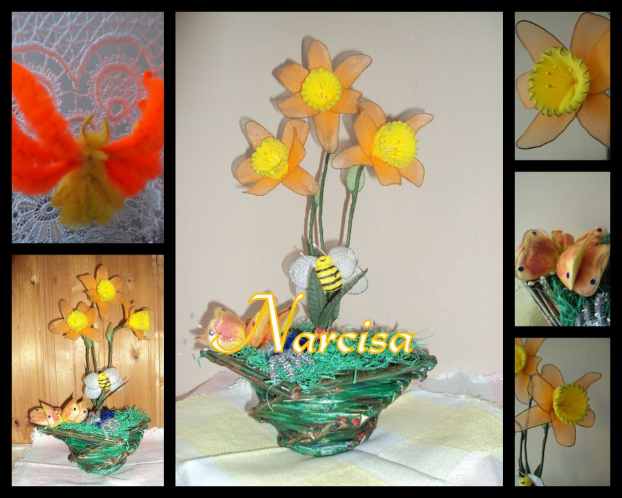 Narcisa oranžno rumena - foto povečava