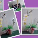 Orhideja Suzy