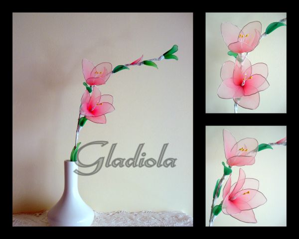 Gladiola - foto