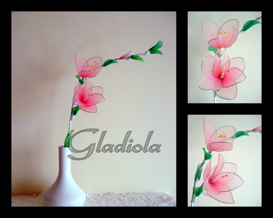 Gladiola - foto povečava