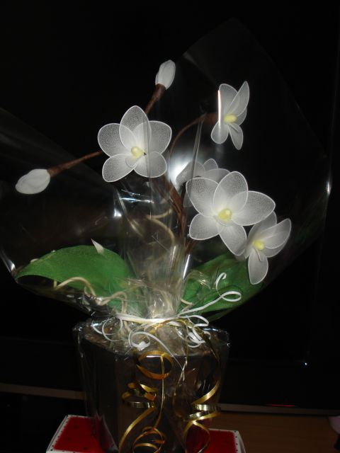 Orhideja a - foto