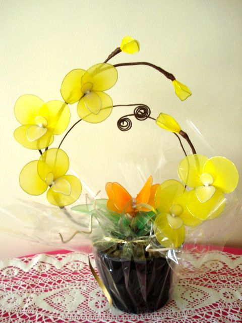 Orhideja rumena 0 - foto