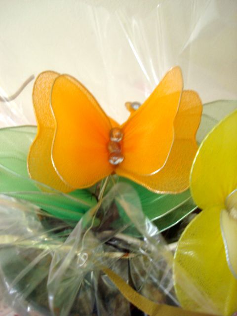 Orhideja rumena 0 - foto