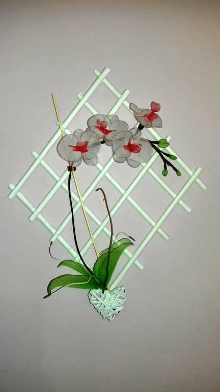 Orhideja rdeče - bela - foto povečava