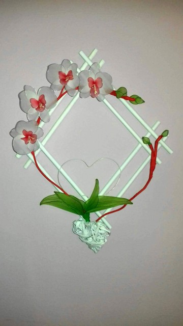 Orhids - foto