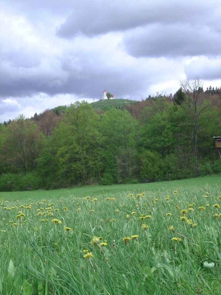 Foto: narava skozi moj objektiv - foto povečava