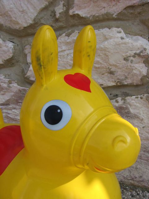 Rody