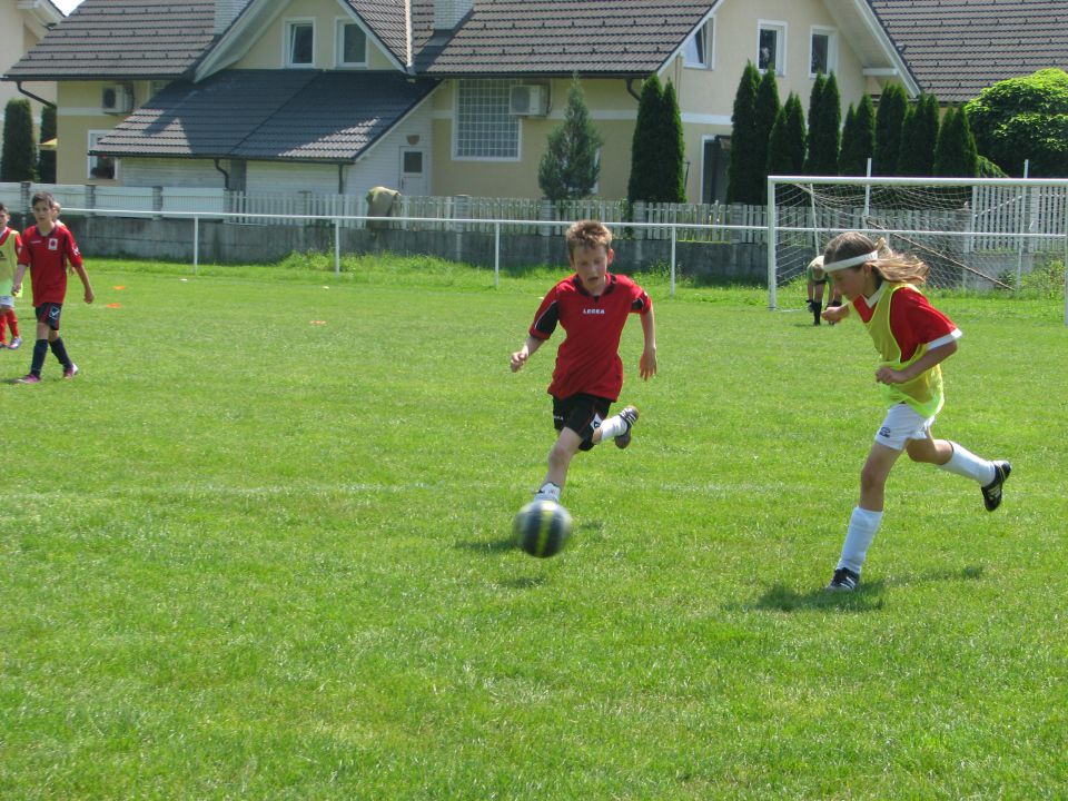 ZAKLJUČNI PIKNIK 15.6.2013 - foto povečava