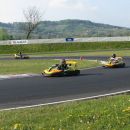 2013-14 U-13 14. krog Šentjernej in presenečenje