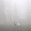 U-15 12.20. zimska liga