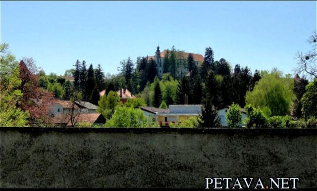 PETAVA # PROMO - foto