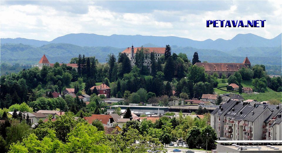 PETAVA # PROMO - foto povečava