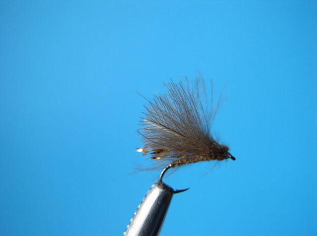 K FLY FISHING - SM - foto