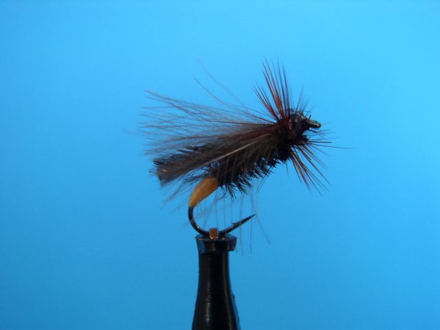 K FLY FISHING - SM - foto