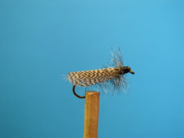 K FLY FISHING - SM - foto