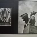 fotogram 7
